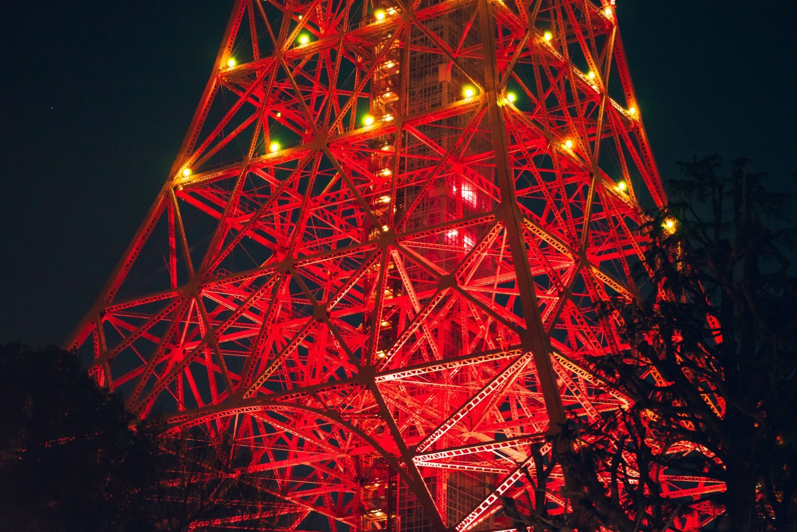インタビューセッションの様子